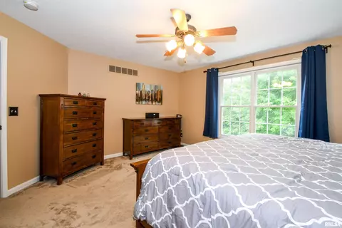 116 W Hillside Ct, Dunlap, IL 61525 photo 20