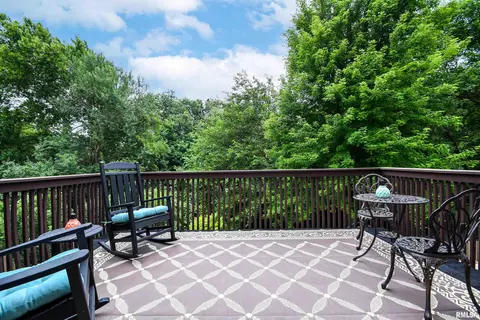 116 W Hillside Ct, Dunlap, IL 61525 photo 51