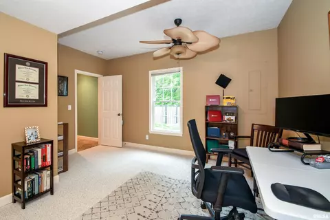 116 W Hillside Ct, Dunlap, IL 61525 photo 38