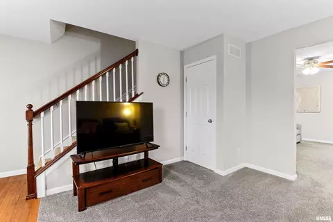 2428 Grey Fox Trl, Bloomington, IL 61705 photo 12