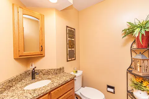 42 Waldheim Rd, Morton, IL 61550 photo 20