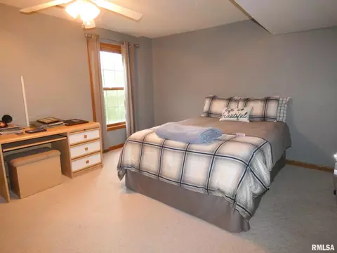 5016 S Diamond Pt, Mapleton, IL 61547 photo 42
