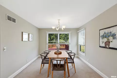 11201 N Daniel Ct, Dunlap, IL 61525 photo 10
