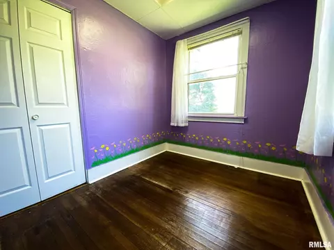 21848 Ryan Rd, Delavan, IL 61734 photo 26
