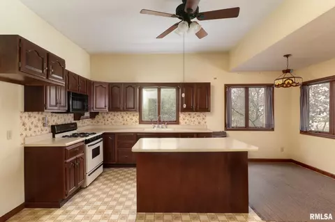 701 W 4th St, Delavan, IL 61734 photo 14