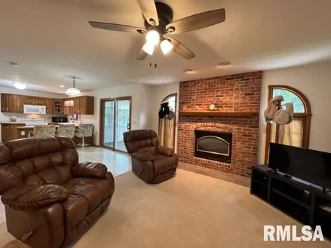 1203 E Juniper St, Canton, IL 61520 photo 10