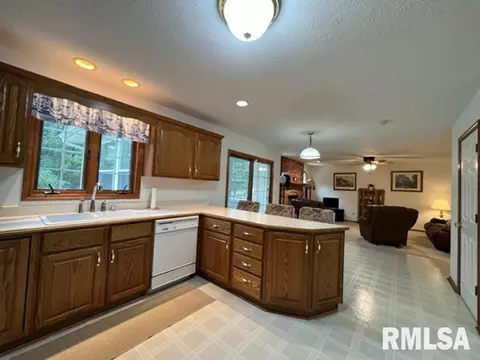 1203 E Juniper St, Canton, IL 61520 photo 8