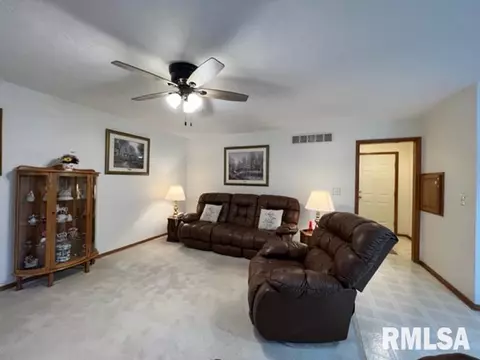 1203 E Juniper St, Canton, IL 61520 photo 18