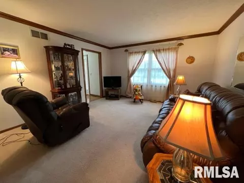 1203 E Juniper St, Canton, IL 61520 photo 16