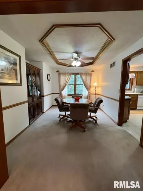 1203 E Juniper St, Canton, IL 61520 photo 14