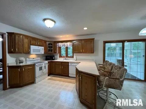 1203 E Juniper St, Canton, IL 61520 photo 9
