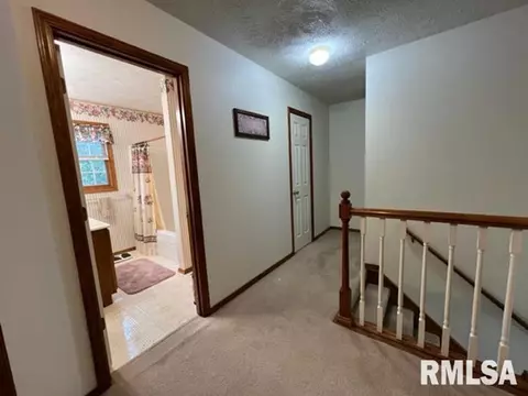 1203 E Juniper St, Canton, IL 61520 photo 38