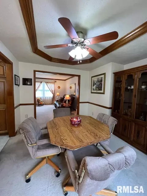 1203 E Juniper St, Canton, IL 61520 photo 13