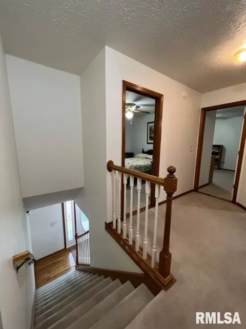 1203 E Juniper St, Canton, IL 61520 photo 24