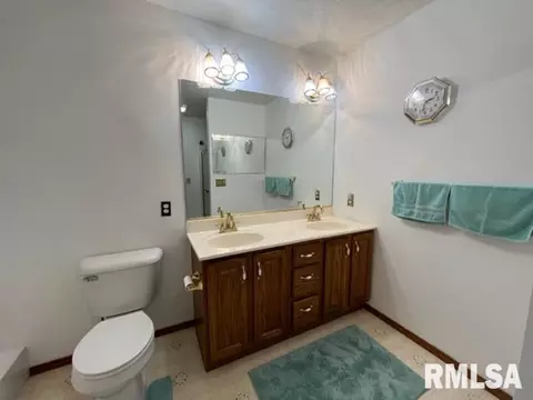 1203 E Juniper St, Canton, IL 61520 photo 28
