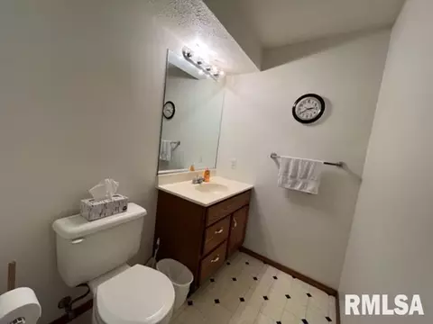 1203 E Juniper St, Canton, IL 61520 photo 42