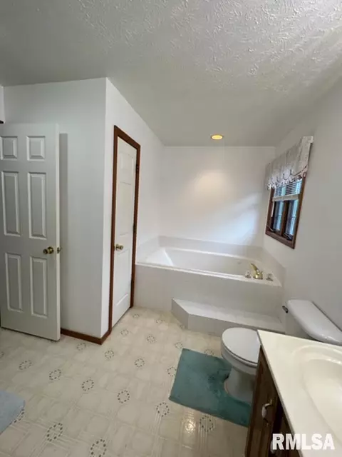 1203 E Juniper St, Canton, IL 61520 photo 29