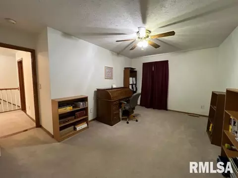 1203 E Juniper St, Canton, IL 61520 photo 35