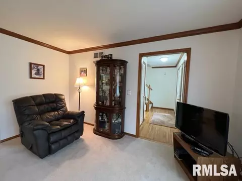 1203 E Juniper St, Canton, IL 61520 photo 17