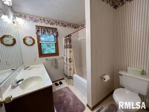 1203 E Juniper St, Canton, IL 61520 photo 39