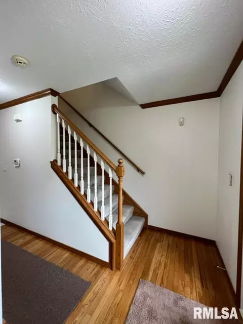 1203 E Juniper St, Canton, IL 61520 photo 23