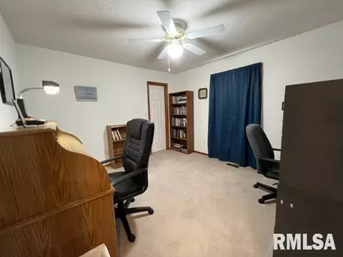 1203 E Juniper St, Canton, IL 61520 photo 33