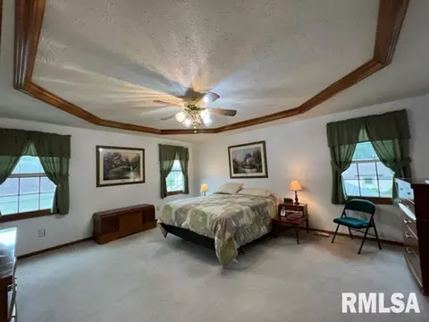 1203 E Juniper St, Canton, IL 61520 photo 25