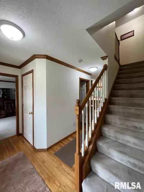 1203 E Juniper St, Canton, IL 61520 photo 4
