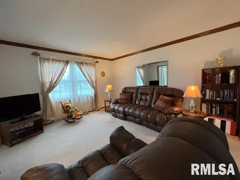 1203 E Juniper St, Canton, IL 61520 photo 15