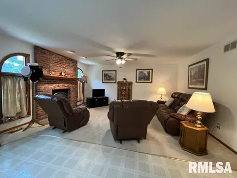 1203 E Juniper St, Canton, IL 61520 photo 11