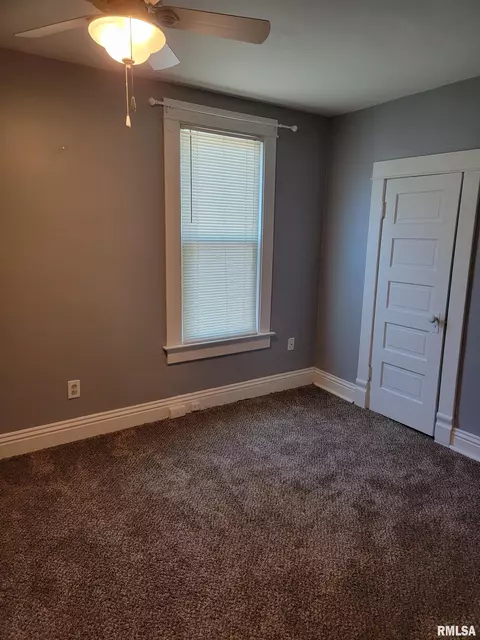 1027 E Chestnut St, Canton, IL 61520 photo 25