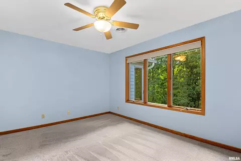 725 W Bennett Ct, Dunlap, IL 61525 photo 56