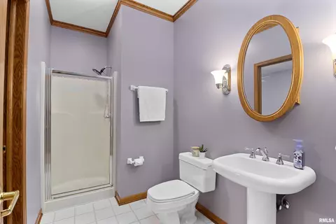 725 W Bennett Ct, Dunlap, IL 61525 photo 35