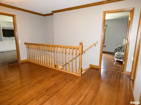 11620 N Strathmoore Ct, Dunlap, IL 61525 photo 19