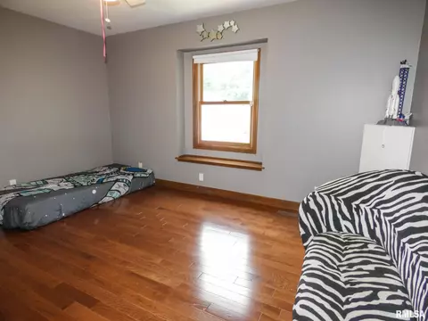 11620 N Strathmoore Ct, Dunlap, IL 61525 photo 28