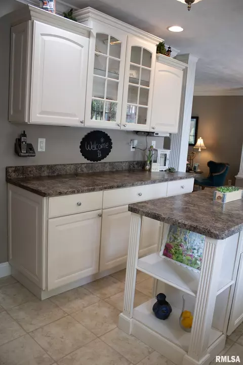 804 Curtis Ct, Eureka, IL 61530 photo 39