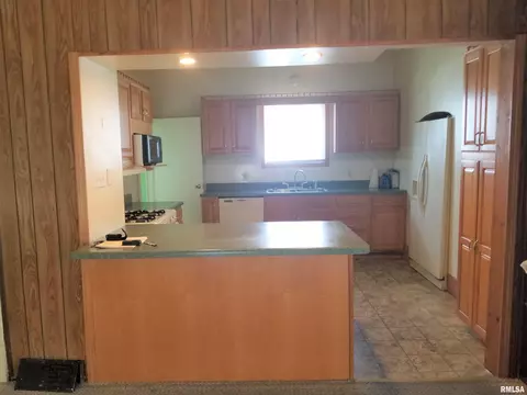 433 N 1st, Canton, IL 61520 photo 8