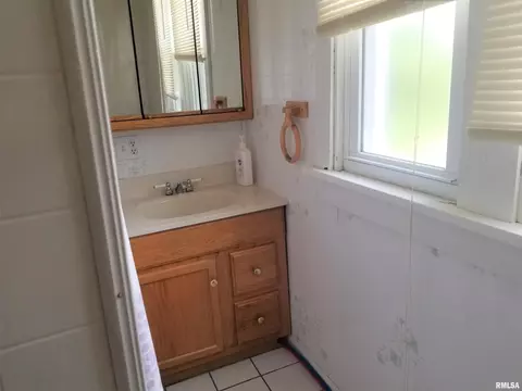 433 N 1st, Canton, IL 61520 photo 12