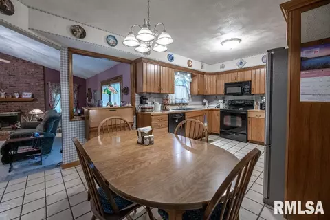 308 E Tyler St, Morton, IL 61550 photo 36