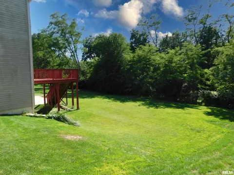 619 S Copperpoint Dr, Dunlap, IL 61525 photo 48