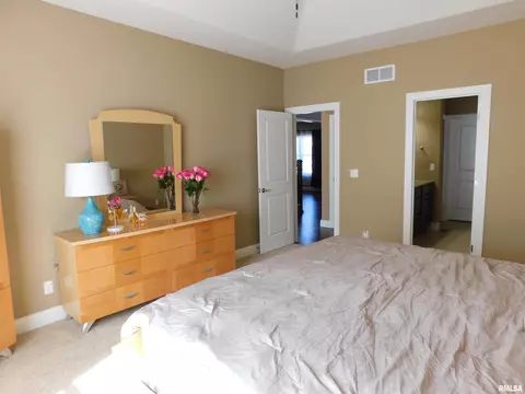 619 S Copperpoint Dr, Dunlap, IL 61525 photo 18
