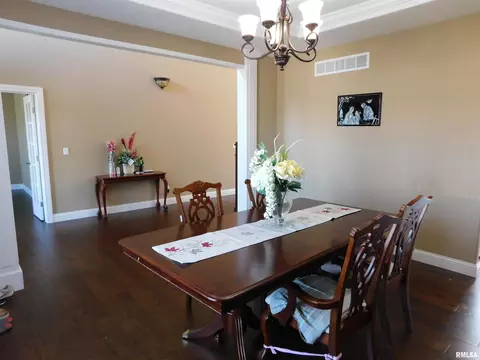 619 S Copperpoint Dr, Dunlap, IL 61525 photo 13