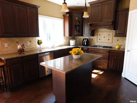 619 S Copperpoint Dr, Dunlap, IL 61525 photo 4