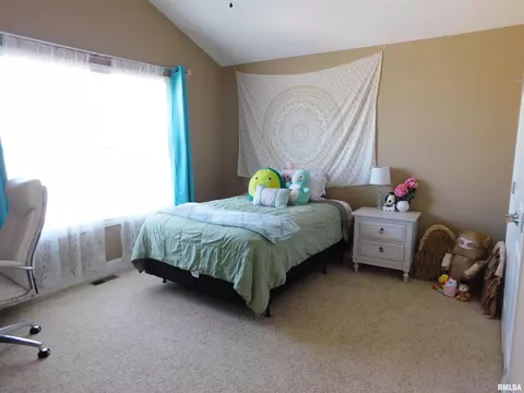 619 S Copperpoint Dr, Dunlap, IL 61525 photo 25