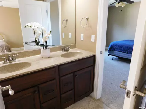 619 S Copperpoint Dr, Dunlap, IL 61525 photo 33