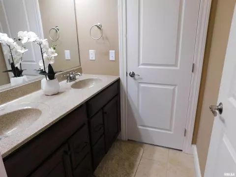 619 S Copperpoint Dr, Dunlap, IL 61525 photo 31