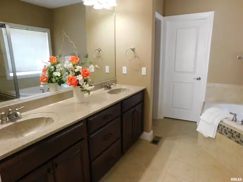 619 S Copperpoint Dr, Dunlap, IL 61525 photo 22