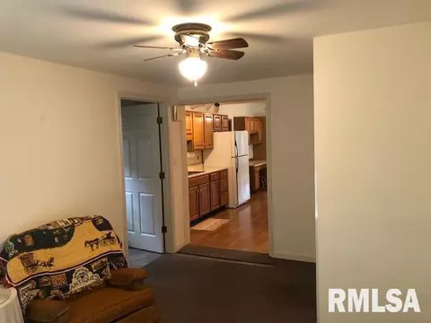 834 E Chestnut St, Canton, IL 61520 photo 14