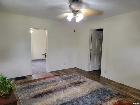320 Cass Pl, Canton, IL 61520 photo 9