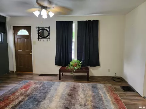 320 Cass Pl, Canton, IL 61520 photo 8